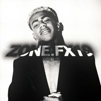 zone.fx19