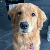 dakota_and_family