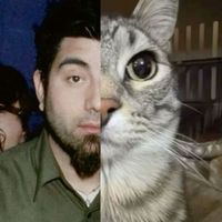 blendor14