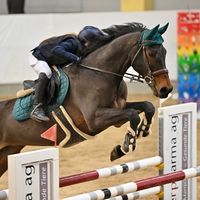 scherhammer_jolina