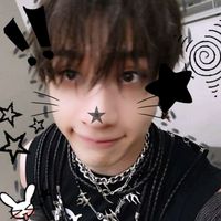 bangchan_skzbias