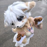 cinnamel_furry