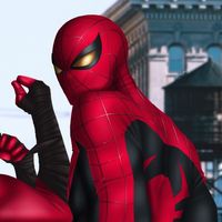sthestspider