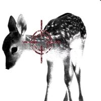 chlsp__