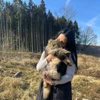 sunny_love_cats
