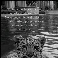 sonido original