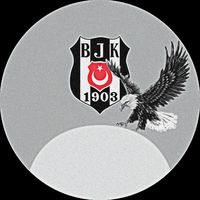 _beskitas_