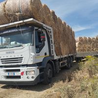nicosia.francesco4
