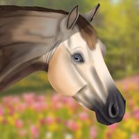 equistride_