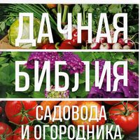 www.aleksandr37