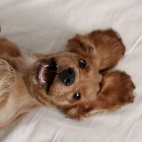 lola_lefty5