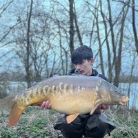 j.carping