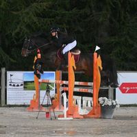 bertille..8