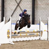just_horsing_around._