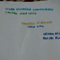 rzvan.grigoras5