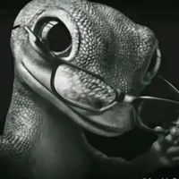 homelizardtoothpaste