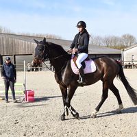 emma_ledure