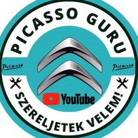 picassoguru