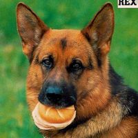 Kommissar Rex intro 1 season