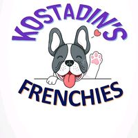 french.bulldog.bulgaria