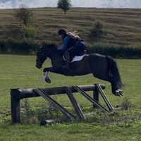 orla_eq