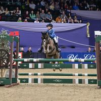oakleynashponies