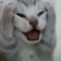 jacobmjc