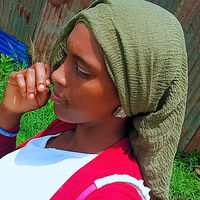 zariati.mohamed