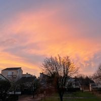 louloute_04