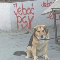 dźwięk oryginalny