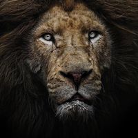 _motivationmindset_99