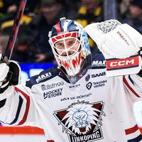 den_dar_javla_svensson