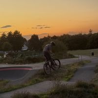 woody_mtb
