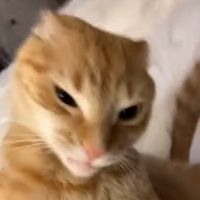 klaudia_278