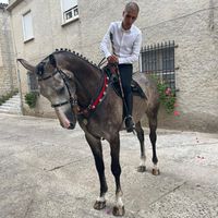 alessioofenudee