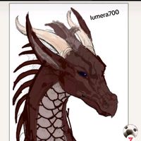 dolfinlover17