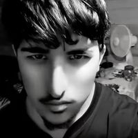 bogomilovv_music