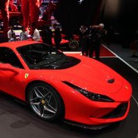 luxuryadvisor7