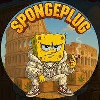 sponge.plug.real