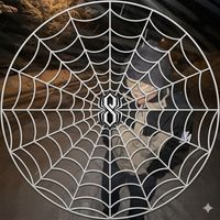 spiderdan____