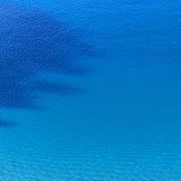 waveringtogether