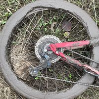 rory_mtb