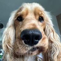 our.boy.spencer