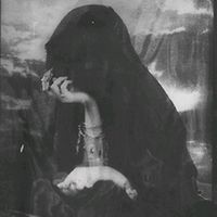 dovmimi