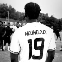 mzino.19