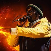 ninebarz