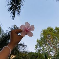 roombeautyy_