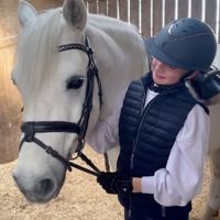 golden_pony_123