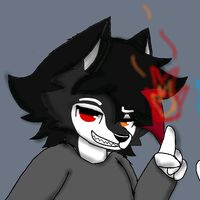 romeo_husky05