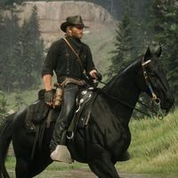 arthurmorgan1358